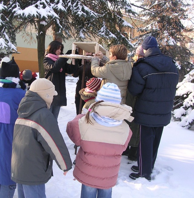 O zimowym dokarmianiu ptactwa  pamiętają między innymi uczniowie i nauczyciele Społecznej Szkoły Podstawowej w Tarnobrzegu
