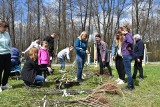 Gmina Krzeszowice. Sprzątanie lasu, zakładanie rabaty kwiatowej i malowanie ławek