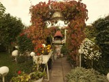 Najpiękniejsze ogródki i lauby w Katowicach są przy Barbary. Tu jest jak w Shire Tolkiena!