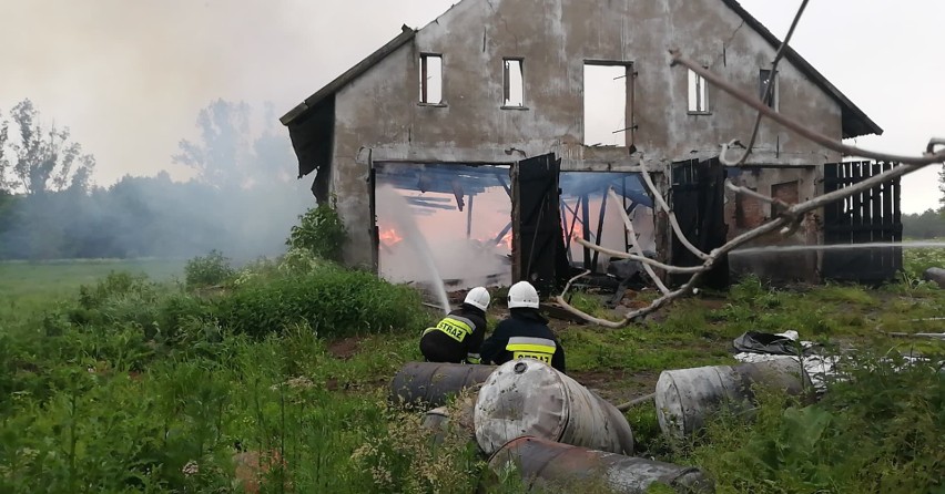 Pożar pustostanu w miejscowości Dochowo. Strażacy walczyli z oginem