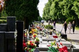 Cmentarz na Majdanku z miejscem na urny z prochami. Kiedy pierwsze pochówki w miejskim kolumbarium? 