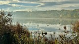 Starachowice jesienną porą. Zobaczcie zapierające dech w piersiach kadry miasta spowitego mleczną mgłą. Zdjęcia w galerii