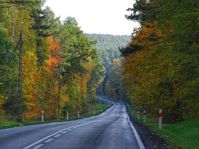 Jesienny Międzyrzecz (i okolice) w obiektywie naszego Czytelnika