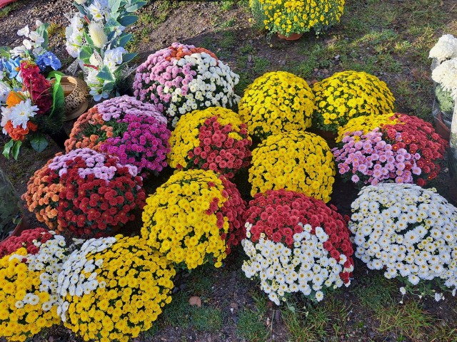 Na giełdzie w Miedzianej Górze w niedzielę, 29 października oferowano mnóstwo kwiatów i zniczy. Zobaczcie >>>