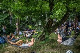 Widzę Łódź: Dufność w parku zaparkowała FELIETON