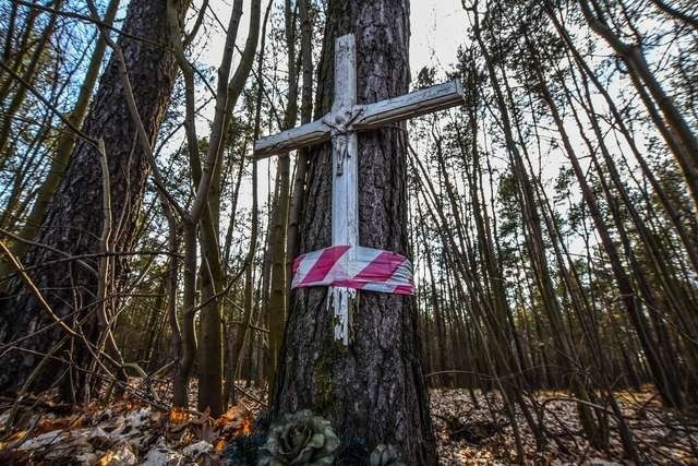 Takie obrazki nie są rzadkością przy polskich drogach