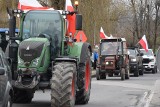 Protest rolników na S1. Kilkaset ciągników na drodze z Czechowic-Dziedzic do Bielska-Białej. Zobaczcie ZDJĘCIA