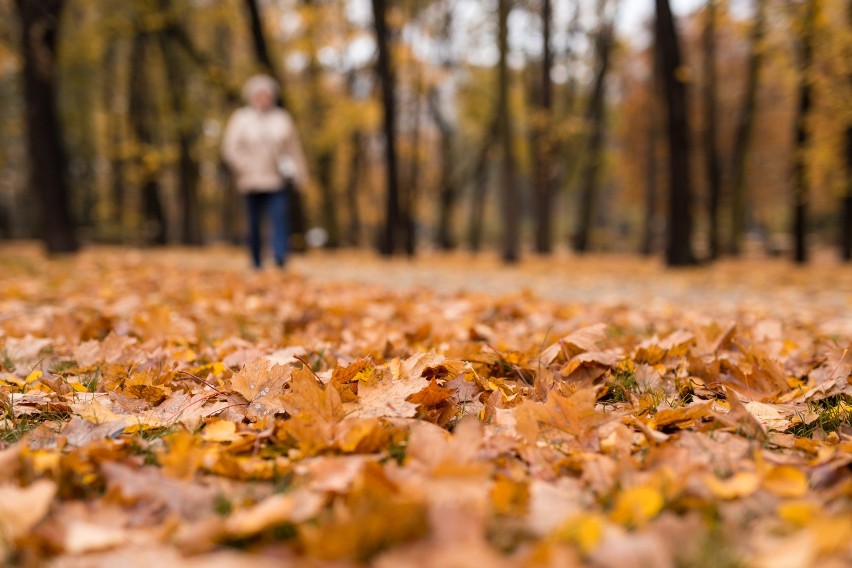 Jesienna migrena lub depresja? Zmień dietę, a pokochasz tę porę roku