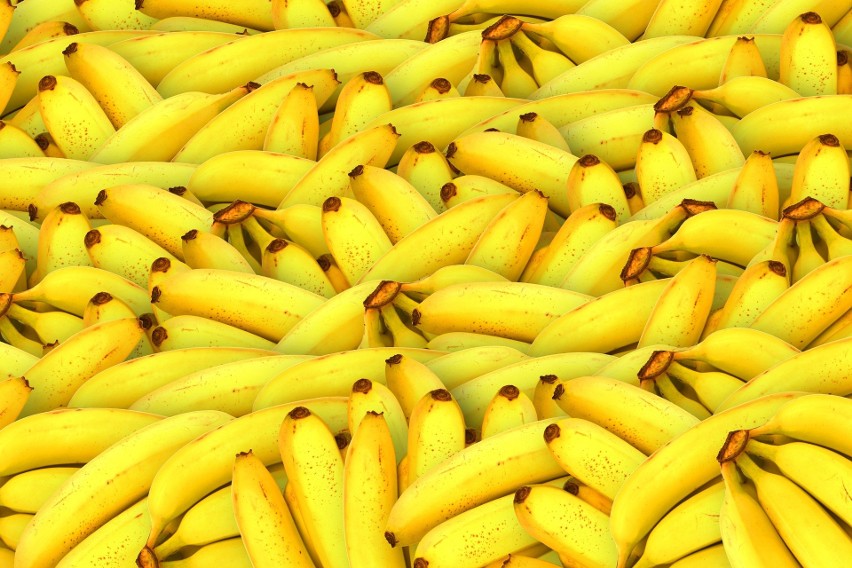 Niezwykle duża zawartość potasu w bananach jest kluczowym...