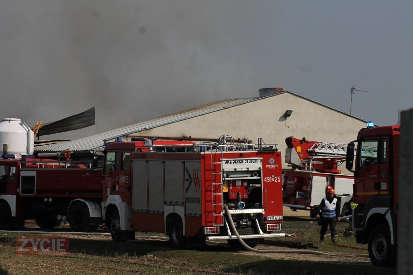 Około godziny 10.30 strażacy odebrali zgłoszenie o pożarze...