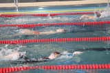 II Mistrzostwa Radomska w pływaniu. Na starcie ponad 100 dzieci. ZDJĘCIA