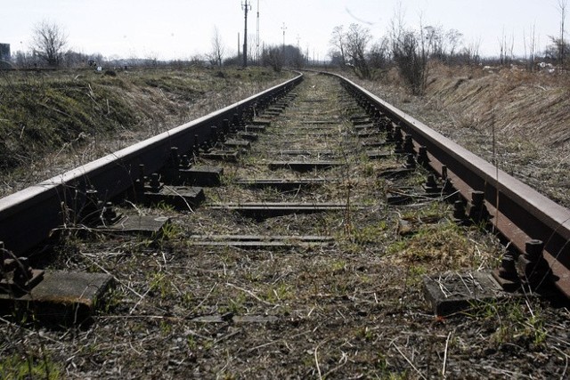 Tragedia na torach. Pod kołami pociągu zginęła kobieta