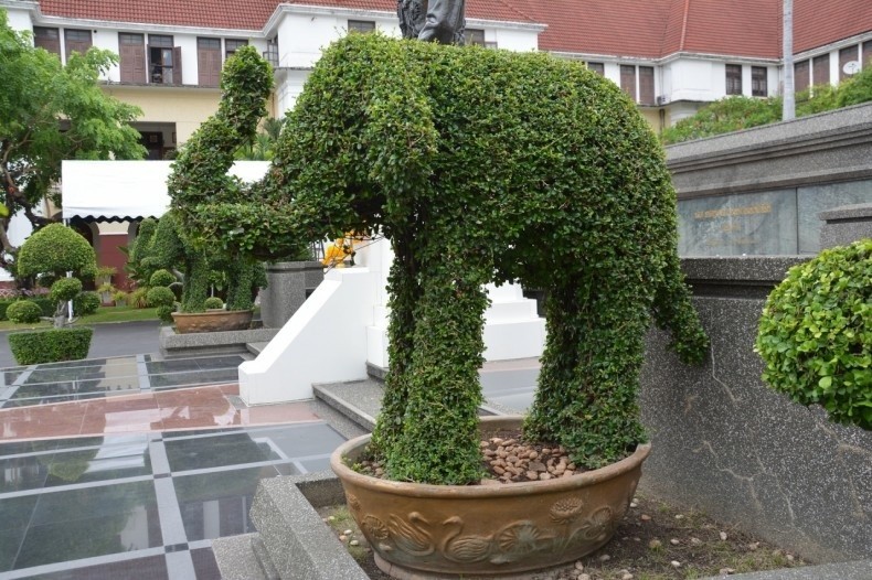 Topiary: formowane krzewy w ogrodzie. Jak to się robi