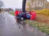 Śmiertelny wypadek na drodze wojewódzkiej nr 423 koło Krępnej. To ruchliwa trasa Opole-Kędzierzyn-Koźle. Na miejscu pracują służby 