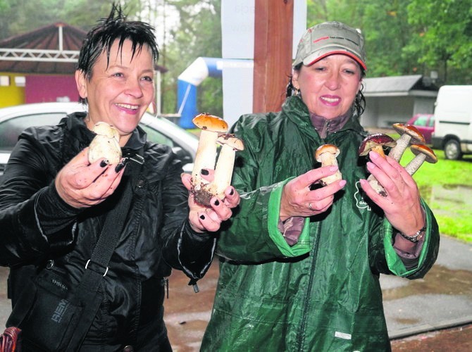 Grzyby obrodziły nie tylko w golejowskim lesie, gdzie w...