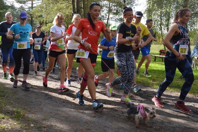 W niedzielę, 17 września, brzegi malowniczego jeziora borowinowego Czarne w gminie Świeszyno gościły uczestników drugiej już edycji imprezy sportowo-rekreacyjnej pod nazwą ORLA PIĘ(Ś)Ć. Zapoczątkowane miesiąc temu cykliczne (w planie) zawody biegowe na dystansie 5 km ścieżkami leśnymi zgromadziły tym razem równo 90 uczestników ze Świeszyna i bliskich oraz dalszych okolic! Drugą edycję świeszyńskich zawodów można śmiało nazwać festynem rodzinnym – na mecie prócz zawodników były ich rodziny z najmłodszymi pociechami, a także czteronodzy przyjaciele (niektóre pieski pokonały nawet całą trasę biegu!). Tym razem zawody biegowe zostały rozszerzone o spacer z kijkami, tzw. nordic walking. Na trasę wyruszyło 9 amatorów tego typu zajęć ruchowych. Zawodnicy ruszyli na trasę tuż po godz. 11 przy sprzyjającej, słonecznej i ciepłej pogodzie. Jedyne co mogło przeszkadzać to mnóstwo komarów. Pierwszy linię mety przekroczył Adrian Kępka, który dotarł do mety po 18 minutach i  5 sekundach. Kolejni zawodnicy wbiegali na metę co kilka sekund. Pierwszą kobietą, która zakończyła rywalizację, była Agnieszka Konkol z czasem 20 minut i 16 sekund. Kolejne kategorie kończyły bieg po 23 minutach i 17 sekundach, a był to Mateusz Wróblewski (dzieci i młodzież do 17 roku życia - panowie), po 34 minutach i 51 sekundach – Martyna Wróblewska (dzieci i młodzież do 17 roku życia - panie) oraz po 36 minutach i 57 sekundach na mecie pojawił się zawodnik z ostatniej, piątej kategorii tego dnia czyli Tomasz Mikitiuk, specjalista od spacerów z kijkami!Wszyscy zawodnicy, którzy wyruszyli na ten leśny spacer biegowo-kijkowy zakończyli zawody bez ani najmniejszego nawet uszczerbku na zdrowiu, choć na mecie czekali już ratownicy medyczni z firmy MiMed, gotowi udzielić pierwszej pomocy!Po zakończeniu rywalizacji wszyscy zawodnicy wraz z rodzinami przenieśli się w okolice ogniska, przy którym mogli upiec kiełbaskę i posilić się co nieco po wykonanym wysiłku. Ostatnim elementem drugich leśnych biegów na dystansie 5 km, zorganizowanych przez SSK ORZEŁ ŚWIESZYNO była dekoracja zwycięzców, wręczenie okolicznościowych medali dla wszystkich uczestników zawodów oraz losowanie upominków i nagród.Nagrody specjalne dla NAJ zawodów odebrali – najmłodsza uczestniczka biegów Karolinka Wolf, rocznik 2015! Która pokonała całą trasę na własnych nogach, ani razu nie posiłkując się ramionami mamy. Najstarszym uczestnikiem był Pan Marian Bartnik, rocznik 1931! Panu Marianowi przy starcie do kolejnych biegów towarzyszy takie oto zdanie: „BIEGANIE JEST TAŃSZE OD TERAPII!”. Wszyscy zawodnicy tych zawodów bardzo poważnie podeszli do tego motta! Tuż po godz. 13.00 malowniczy teren nad Jeziorem Czarne w gminie Świeszyno zaczął pustoszeć. II ORLA PIĘ(Ś)Ć przeszła do historii. Kolejne zawody – już za miesiąc. Dokładną datę podamy już niebawem!Impreza nie odbyłaby się, gdyby nie zaangażowanie Lasów Państwowych, a konkretnie Nadleśnictwa Manowo oraz leśniczego z Leśnictwa Niedalino – Lecha Ziółka. Kolejnym partnerem był klub Dziki Koszalin i jego prezes – Krzysztof Hamułka. Opieka medyczna to MiMed - Usługi Ratownictwa Medycznego.Organizatorem zawodów było Stowarzyszenie Sportowo-Kulturalne Orzeł Świeszyno i jego członkowie, którzy czuwali nad tym, by wszystko od początku do końca odbyło się na jak najwyższym poziomie: Marta Schmidt​, Robert Łukawski i Jacek Marcinkowski.Wyniki:Klasyfikacja: Bieg 5kmKategoria: Mężczyźni 18-99 Najlepsze czasy biegu: 101. 00:18:05:38 Adrian Kępka 1995 Nr 652. 00:19:41:85 Henryk Chudy 1955 Nr 533. 00:19:48:47 Karol Matuszewski 1983 Nr 744. 00:19:55:51 Jacek Ramiączek 1965 Nr 845. 00:20:05:41 Jacek Czapliński 1981 Nr 546. 00:20:10:45 Arek Szulc 1977 Nr 947. 00:20:21:17 Łukasz Hubert 1982 Nr 598. 00:20:49:92 Jarek Chołuj 1975 Nr 529. 00:20:57:73 Tomasz Bieńkowski 1983 Nr 4710. 00:21:41:52 Artur Rutkowski 1990 Nr 87Klasyfikacja: Bieg 5kmKategoria: Kobiety 18-99 Najlepsze czasy biegu: 101. 00:20:16:75 Agnieszka Konkel 1984 Nr 122. 00:22:26:50 Anka Konieczna 1969 Nr 1153. 00:24:02:71 Joanna Piętko 1968 Nr 254. 00:24:03:25 Danuta Roganowska 1983 Nr 275. 00:24:16:87 Gosia Ziółkowska 1983 Nr 366. 00:24:32:49 Małgorzata Krzewińska 1959 Nr 147. 00:24:58:13 Joanna Malesza-Housin 1973 Nr 168. 00:25:02:19 Anna Golec 1977 Nr 1039. 00:26:14:79 Jagoda Jaszczuk 1986 Nr 910. 00:26:28:42 Aleksandra Malinowska-Burda 1989 Nr 17Klasyfikacja: Bieg 5kmKategoria: Mężczyźni 0-17 Najlepsze czasy biegu: 81. 00:23:17:88 Mateusz Wróblewski 2005 Nr 452. 00:24:29:33 Hubert Polak 2000 Nr 423. 00:24:46:72 Mateusz Sołtysiak 2002 Nr 444. 00:25:12:79 Damian Knieć 2001 Nr 1175. 00:28:20:05 Antoni Jurdziak 2008 Nr 386. 00:35:44:49 Hubert Roganowski 2007 Nr 437. 00:37:31:69 Igor Kilar 2010 Nr 408. 00:38:44:46 Bartłomiej Tatarczuk 2010 Nr 119Klasyfikacja: Bieg 5km Kategoria: Kobiety 0-17 Najlepsze czasy biegu: 3 1. 00:34:51:75 Martyna Wróblewska 2008 Nr 6 2. 00:35:47:66 Oliwia Kilar 2007 Nr 2 3. 01:03:45:93 Karolinka Wolf 2015 Nr 5 Klasyfikacja: Nordic Walking Kategoria: Open Najlepsze czasy biegu: 9 1. 00:36:57:62 Tomasz Mikitiuk 1971 Nr 110 2. 00:39:18:26 Mariola Gawiecka 1979 Nr 102 3. 00:39:28:89 Michał Praduń 1986 Nr 113 4. 00:40:34:13 Dorota Chałat 1965 Nr 101 5. 00:40:36:48 Marcin Skrzypek 1978 Nr 111 6. 00:44:24:70 Beata Mikitiuk 1972 Nr 106 7. 00:44:25:21 Andrzej Hausmann 1954 Nr 109 8. 00:46:52:92 Ania Milewska 1985 Nr 107 9. 00:56:21:53 Urszula Mroczkowska 1952 Nr 108 Kompletne wyniki biegu:https://dostartu.pl/ii-orla-piesc-c1792.pl.htmlZobacz także XV Bieg Wenedów w Koszalinie