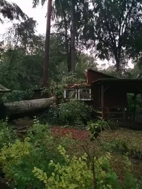 Drzewa zniszczyły domki letniskowe nad jeziorem Dłusko.