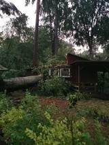 Burza nad Złocieńcem 15.06.2019. Przeszła trąba powietrzna. Ogromne zniszczenia [ZDJĘCIA]