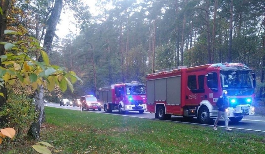 Kolejny wypadek na drodze krajowej nr 10 między Toruniem a...