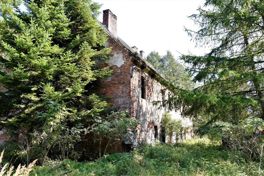 Kamieniec - opuszczona wieś w środku lasu koło Szumiradu pod...