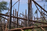 Po tragedii w Suszku. Są zarzuty dla urzędnika, który nie powiadomił o nadciągającej nawałnicy w sierpniu 2017 roku