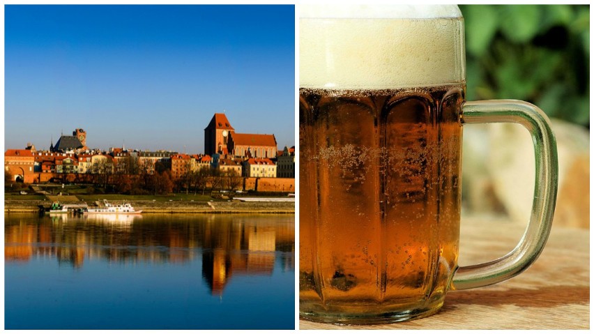 Cały Toruń warzy piwo? 
