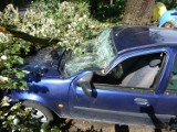 Powalone drzewa, uszkodzone auta - tak wyglądały Żary po wichurze (zdjęcia) 