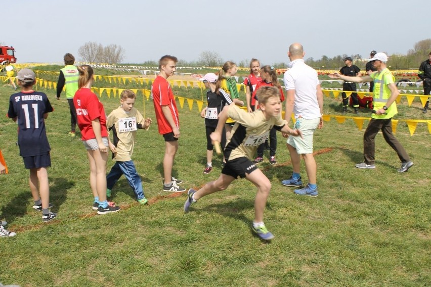 Cross Straceńców 2015. Sztafetowe Mistrzostwa Głogowa [Zdjęcia]