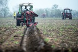 Cena ziemi rolnej w 2018 w Polsce znów urosła. Ile kosztuje hektar w województwach od października?