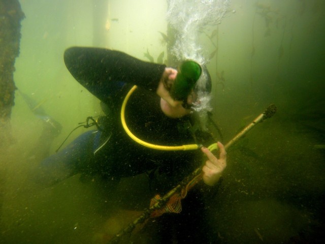Nurkowie znajdowali przeróżne  przedmioty w wodzie.