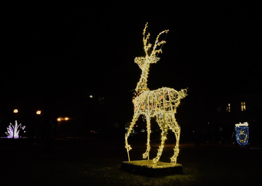 W Tarnobrzegu już świeci się świąteczna choinka. Atrakcją dla dzieci jest też renifer. W całym mieście skromniejsze dekoracje - zdjęcia 