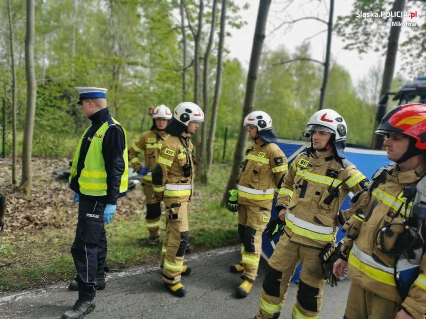 Śmiertelny wypadek w rejonie Śląskiego Ogrodu Botanicznego.