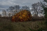 Gigantyczna, opuszczona truskawka pod Warszawą. Surrealistyczny obiekt przyprawia o gęsią skórkę. Czegoś tak dziwnego nie widzieliście!