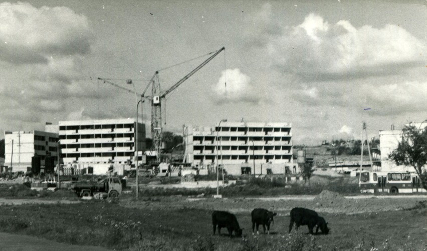 Zobacz Rzeszów sprzed lat na starych fotografiach. Unikalne archiwalne zdjęcia Nowin [GALERIA]