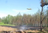 Myszyniec: Strażak-ochotnik podpalał las! Przyznał się do ośmiu podpaleń