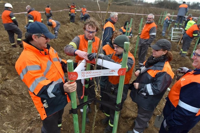 Krakowska huta ArcelorMittal Poland sadzi 70 000 drzew na 70 lat Nowej Huty [ZDJĘCIA]