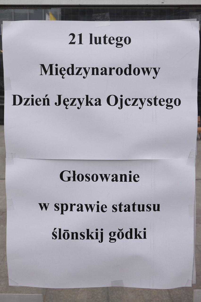 Happening w Katowicach: Śląsko Ferajna na rynku przeprowadziła głosowanie w sprawie statusu "ślōnskij gŏdki" ZDJĘCIA 