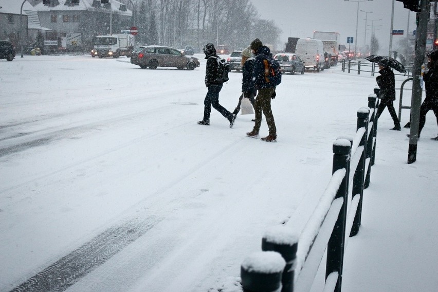 Atak zimy we Wrocławiu. Miasto stanęło w korku (ZDJĘCIA)