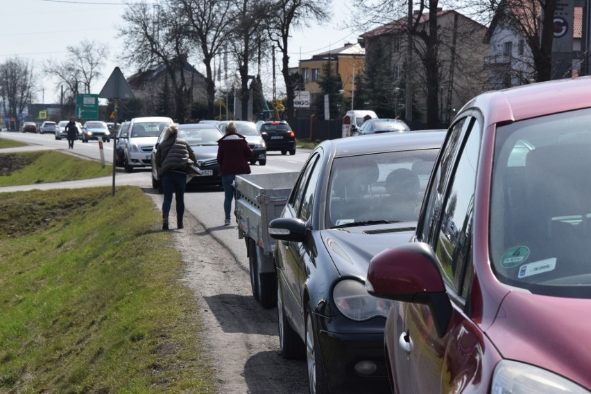 Tłumy klientów w centrum Euro Ogród w Kielcach. Zobacz, co kupowano [ZDJĘCIA]