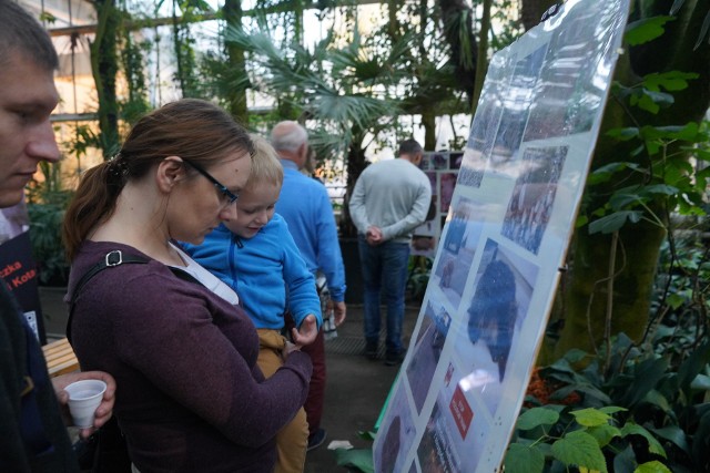 Z okazji Dnia Jeża w dniach 9-10 listopada w Palmiarni Poznańskiej odbywają się spotkania edukacyjne. To II edycja Poznańskiego Dnia Jeża. Tym razem poświęcona jest ochronie i pomocy jeżom europejskim. Dzieci i dorośli mogą dowiedzieć się więcej o dzikich zwierzętach bytujących w miastach. Zobacz zdjęcia z Dnia Jeża --->