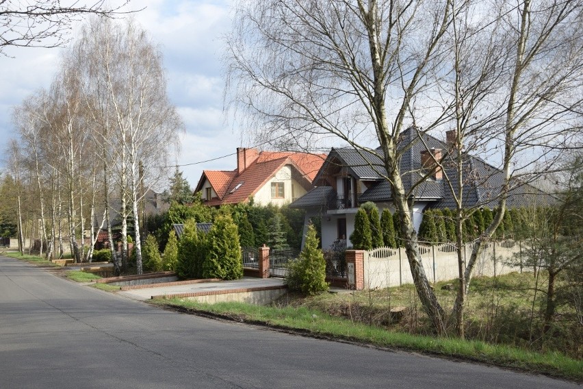 - W miesiącach, gdy rębak pracuje od rana do wieczora, okna...