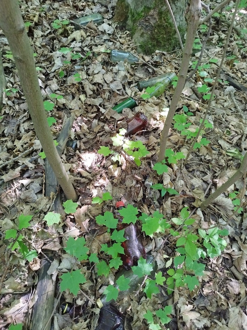 Teren dawnego cmentarza żydowskiego w Działoszycach, który...