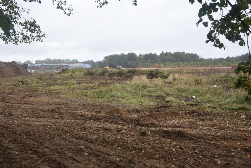 Park handlowy z Castoramą będzie pod Stargardem. Wycinają, rozkopują, równają ZDJĘCIA 