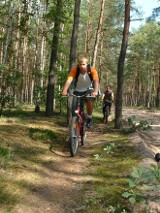 Aktywne wakacje pod kontrolą. Uwaga na urazy stawów