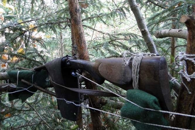 Czarna Białostocka: Straż leśna zatrzymała uzbrojonego kłusownika (zdjęcia)