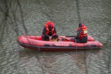 Sarna wpadła do wody na Malinie w Opolu. Wyciągają ją strażacy
