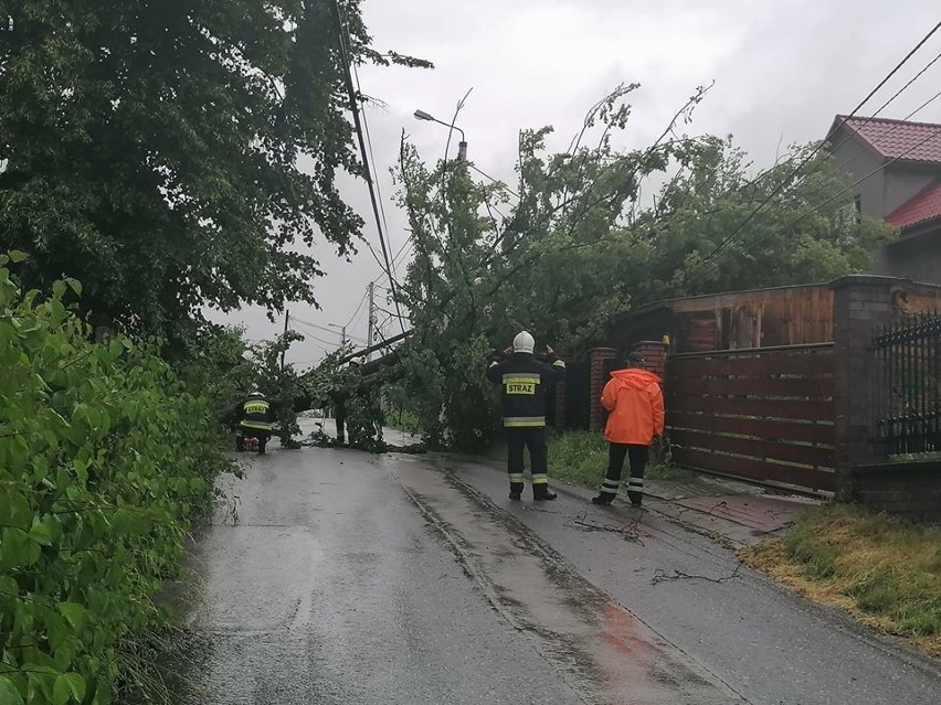 Obraz po gwałtownej burzy w powiecie chrzanowskim. Połamane drzewa blokują drogi, poniszczone są ogrodzenia