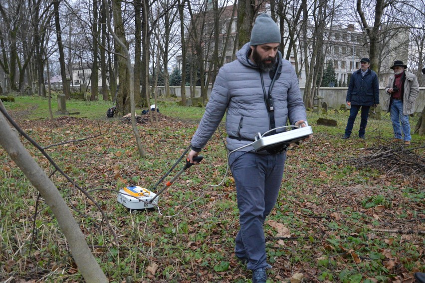 Tarnów. Szukają zbiorowych mogił na cmentarzu żydowskim