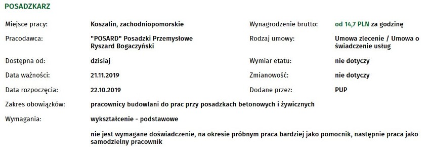 Szukasz pracy w Koszalinie bądź okolicach? Sprawdź najnowsze...