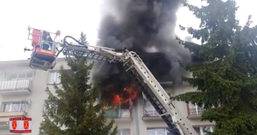 Pożar w bloku w Kraśniku. Cztery osoby trafiły do szpitala, dwa psy nie przeżyły. Zobacz wideo